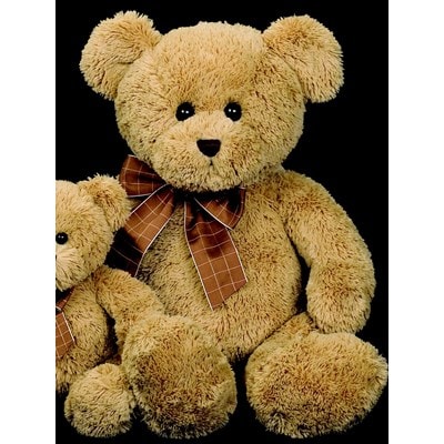 Plush Teddy Bear
